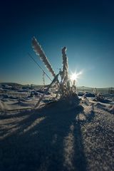 tiefstehende Sonne