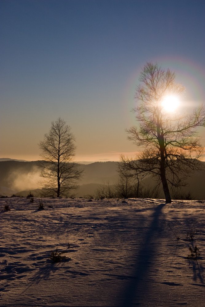 Tiefstehende Sonne