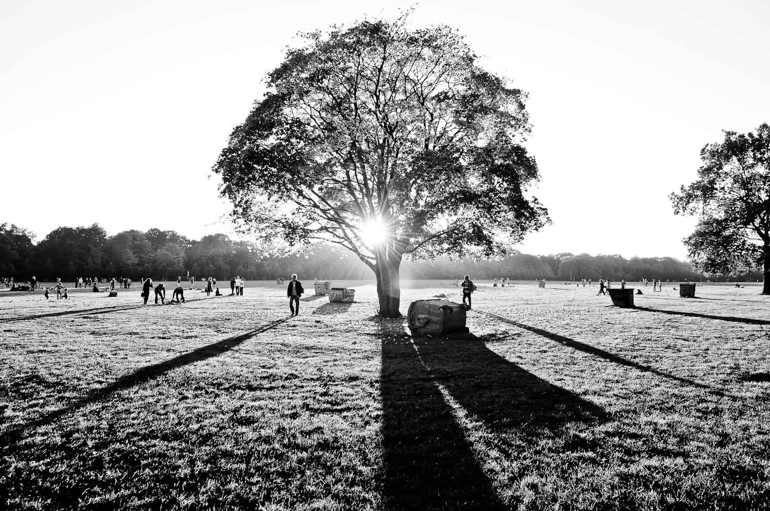 Tiefstehende Sonne