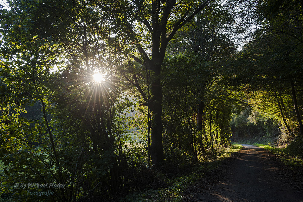 Tiefstehende Sonne