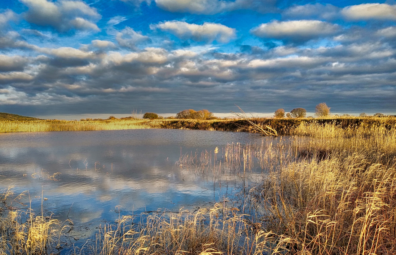 Tiefstehende Sonne an der Elbe 1