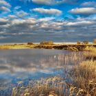 Tiefstehende Sonne an der Elbe 1