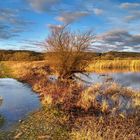 Tiefstehende Sonne an der Elbe 3