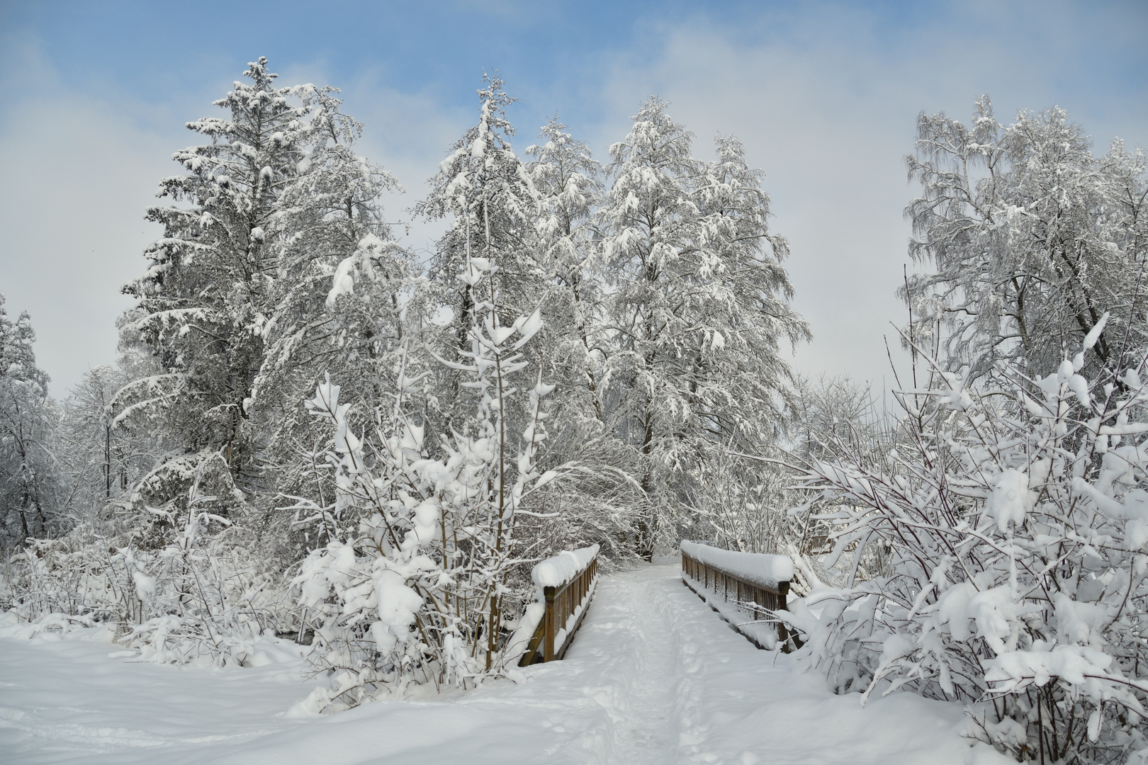 Tiefster Winter