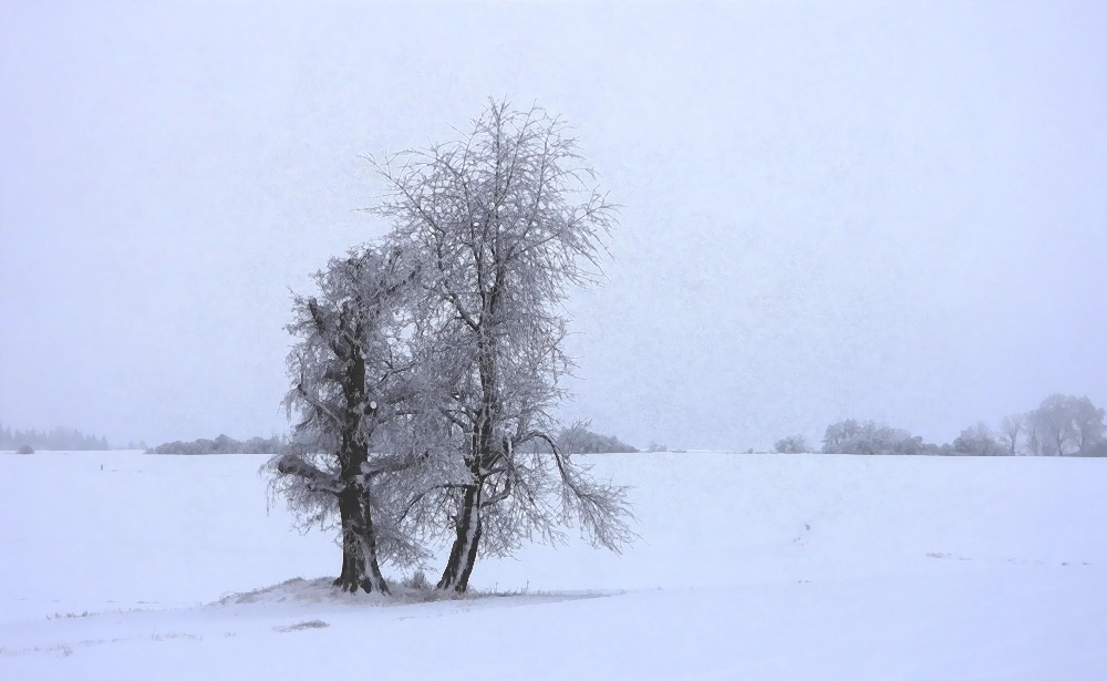 Tiefster Winter