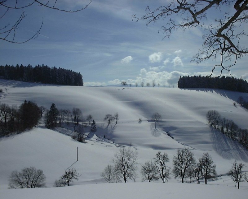 Tiefverschneiter Schwarzwald