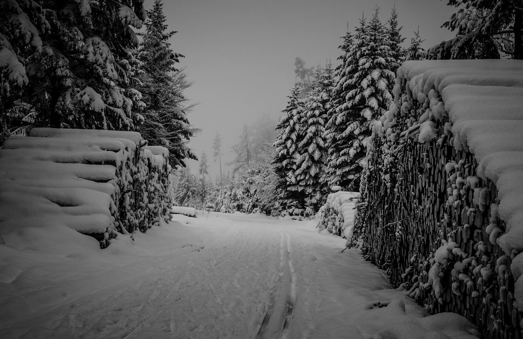 Tiefverschneiter Schwarzwald