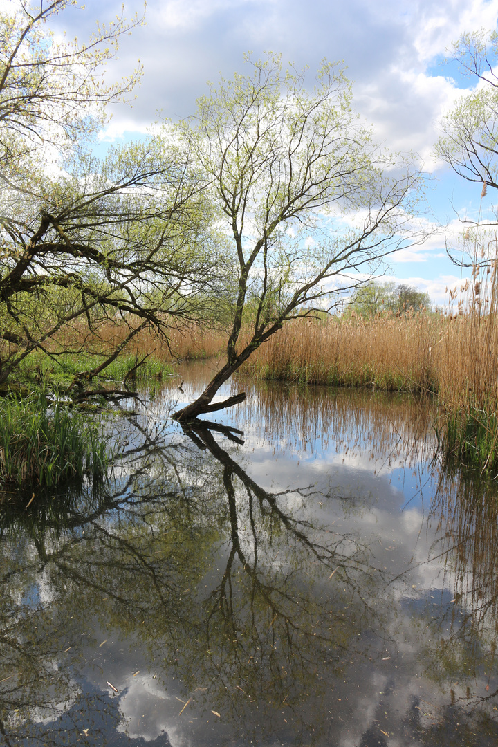 Tiefwerder Wiesen