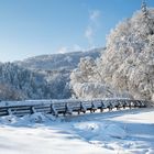 tiefwinterlich am Höglwörther See