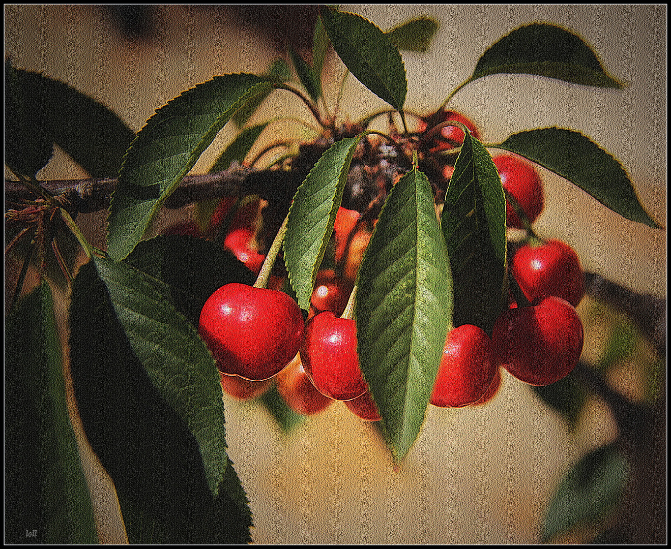 ...tiempo de cerezas...