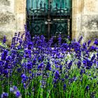 Tiempo de lavanda