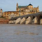 Tiempos de lluvia en el Guadalquivir Cordoba