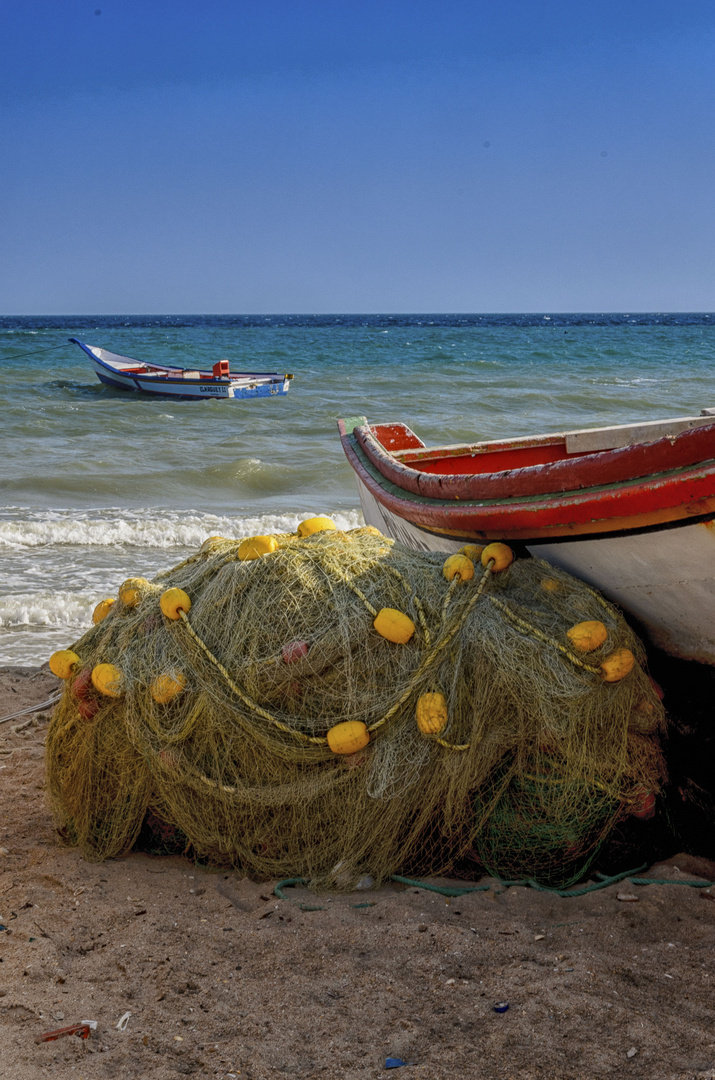 TIEMPOS DE PESCA