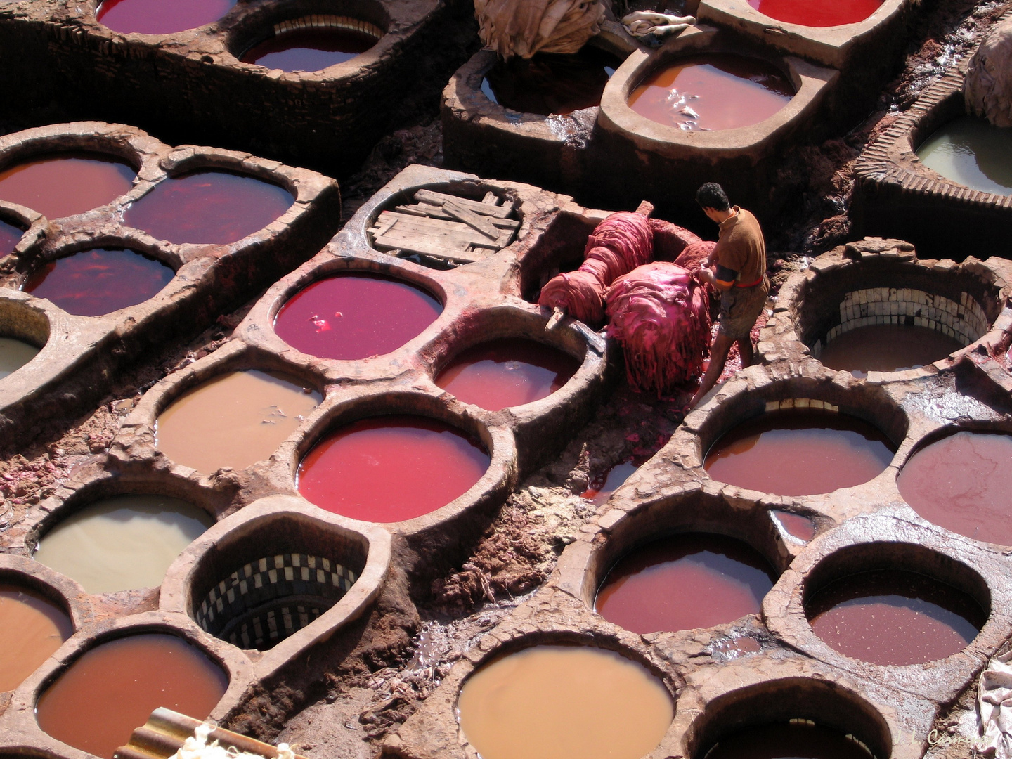 Tiñendo cuero. Fez, Marruecos