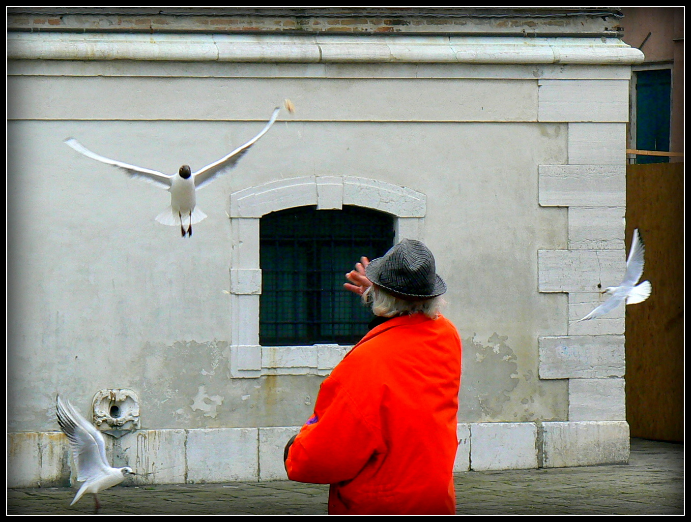 Tiens .... attrapes  ( la petite boule de pain juste au bout de l'aile ) 