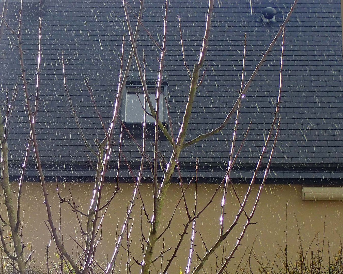 Tiens, voilà la pluie!