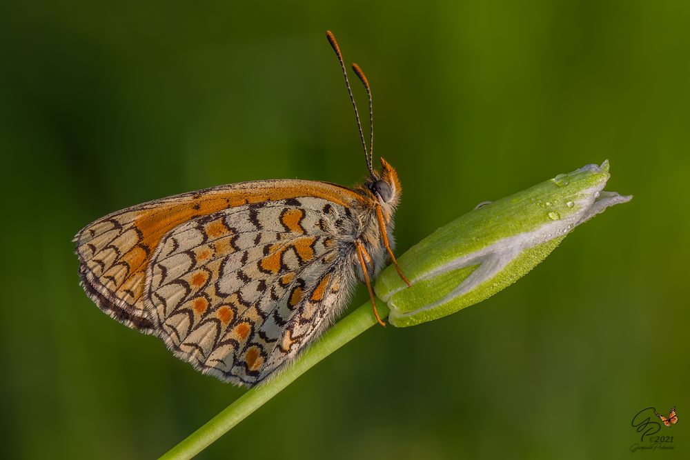 Tiepido sole di primavera