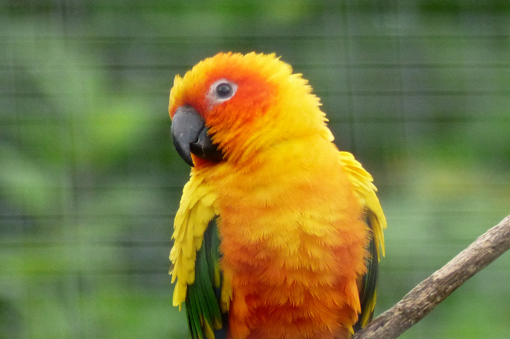 Tier & Freizeitpark Thüle