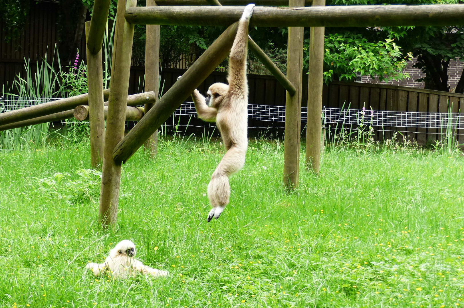 Tier & Freizeitpark Thüle