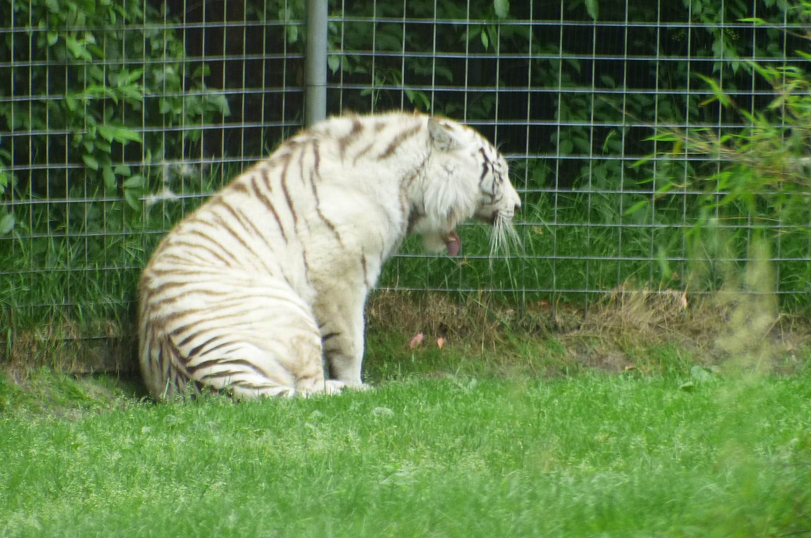 Tier & Freizeitpark Thüle