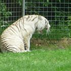 Tier & Freizeitpark Thüle