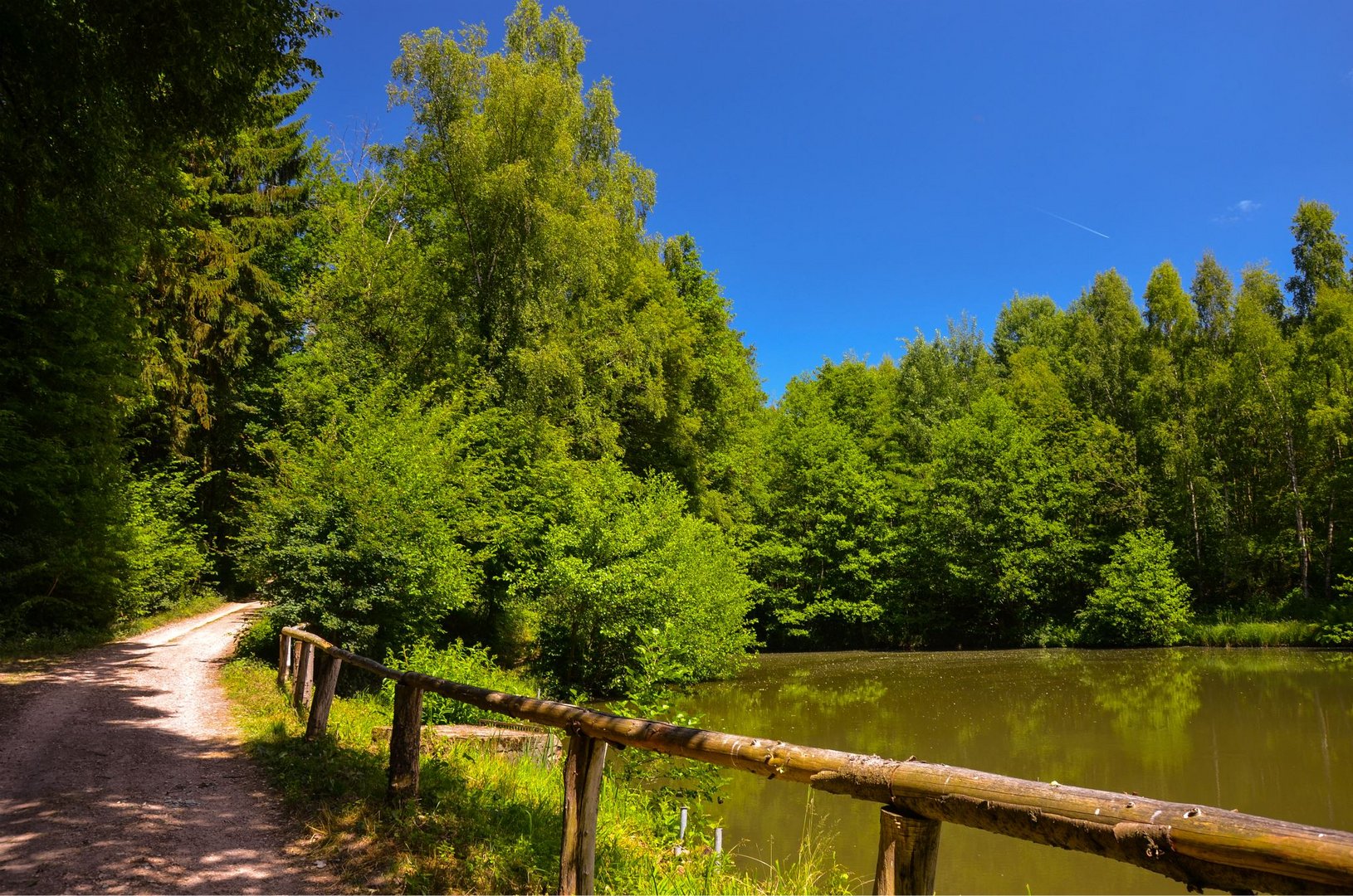  Tierbachweiher in Langenhain Ts.