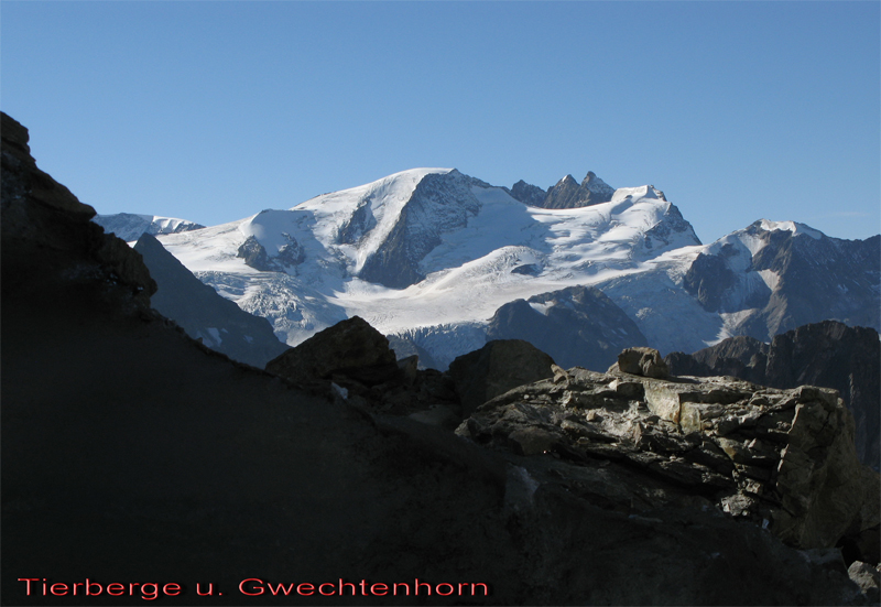 Tierberge u. Gwechthorn