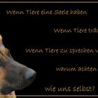 tiere