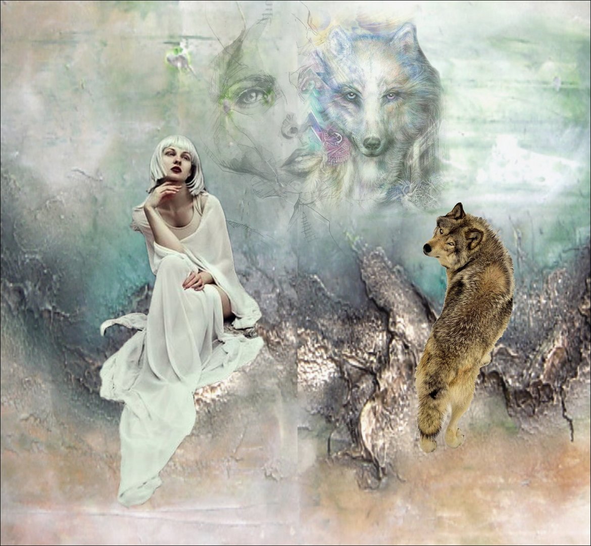 Tiere Foto Bild Composing Bearbeitung Fantasy Bilder Auf Fotocommunity