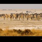 Tiere am Rand der Etosha-Pfanne