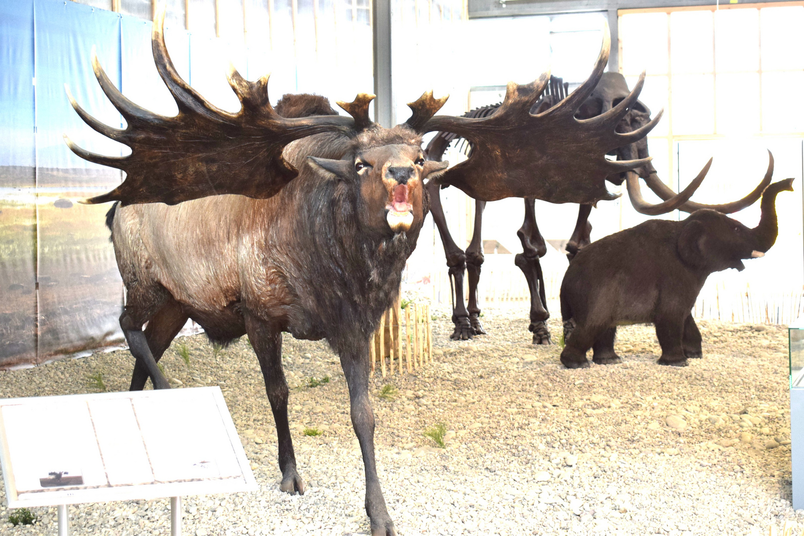 Tiere auf der BUGA in Mannheim