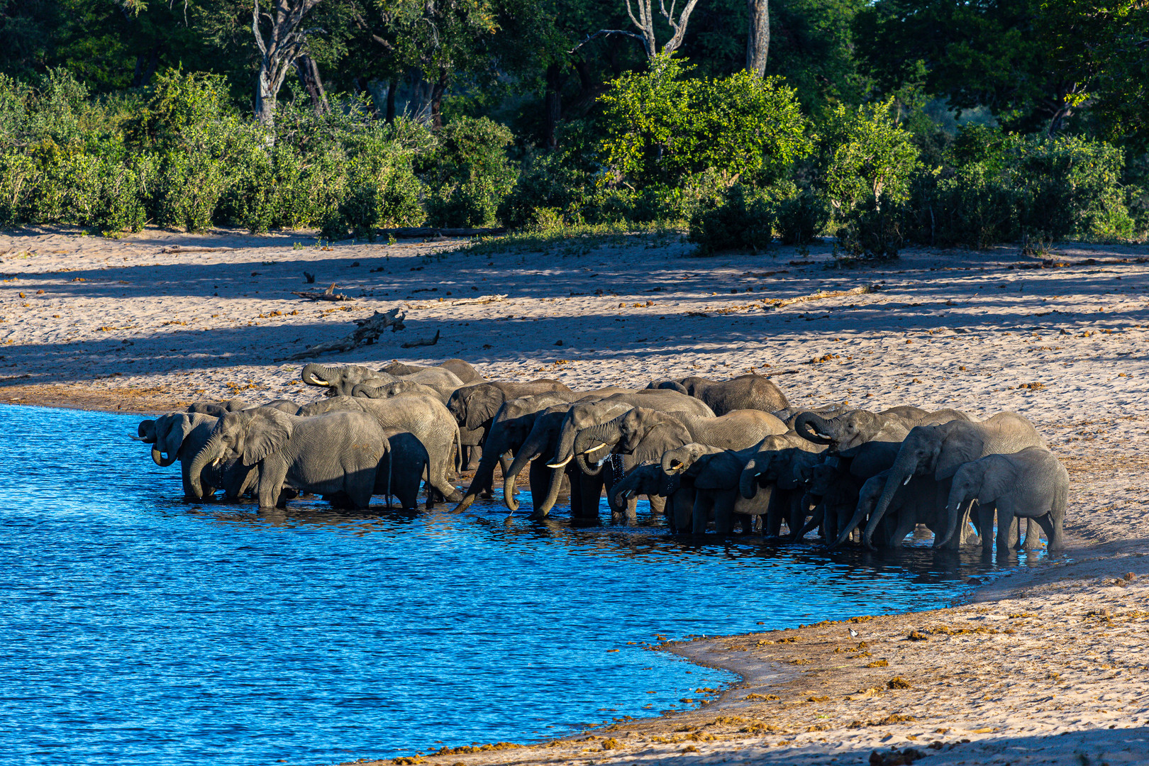 Tiere im Bwabwata NP