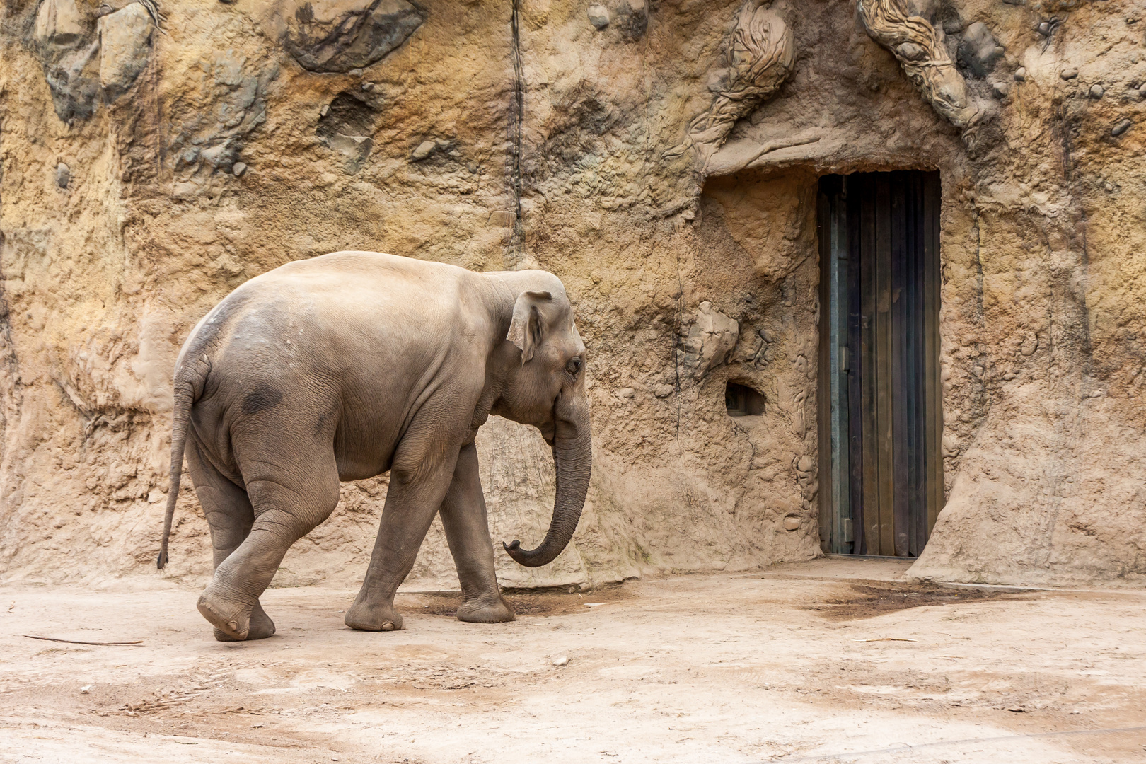 Tiere im Heidelberger Zoo