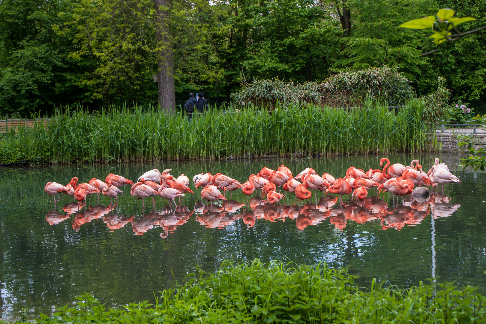 Tiere im Heidelberger Zoo