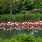 Tiere im Heidelberger Zoo