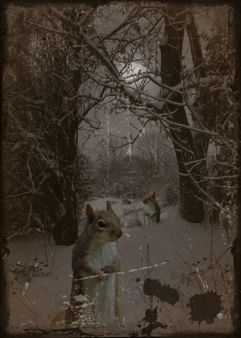 Tiere im Winter