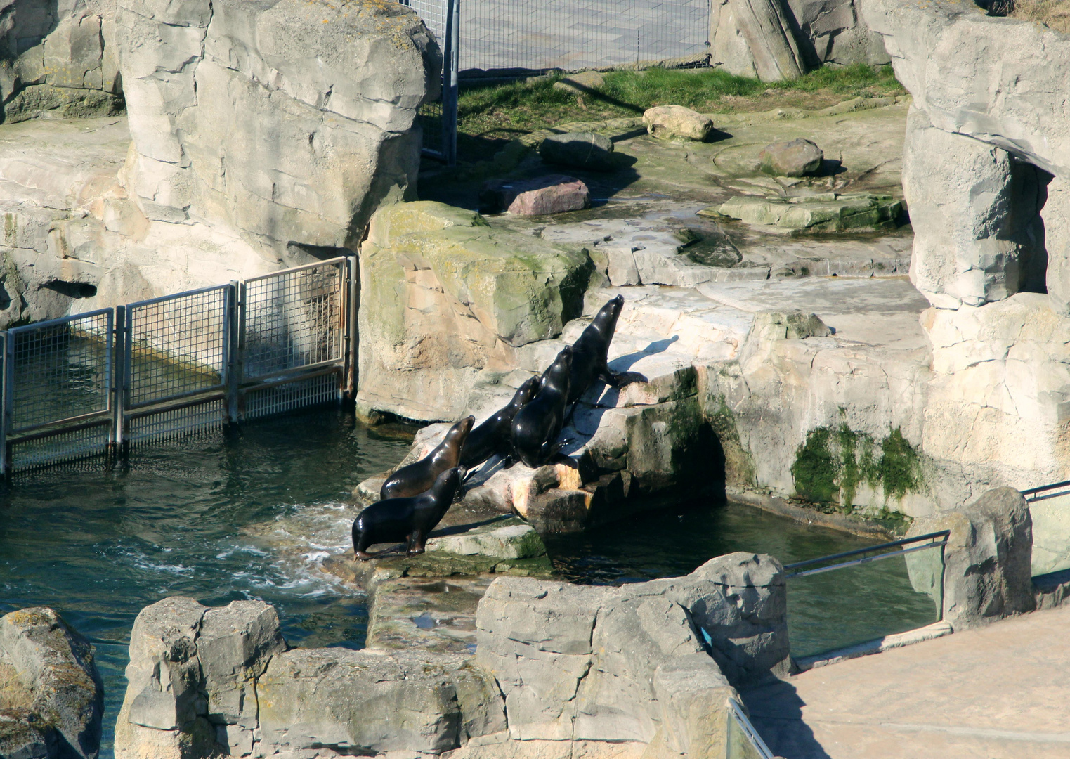 Tiere im Zoo am Meer