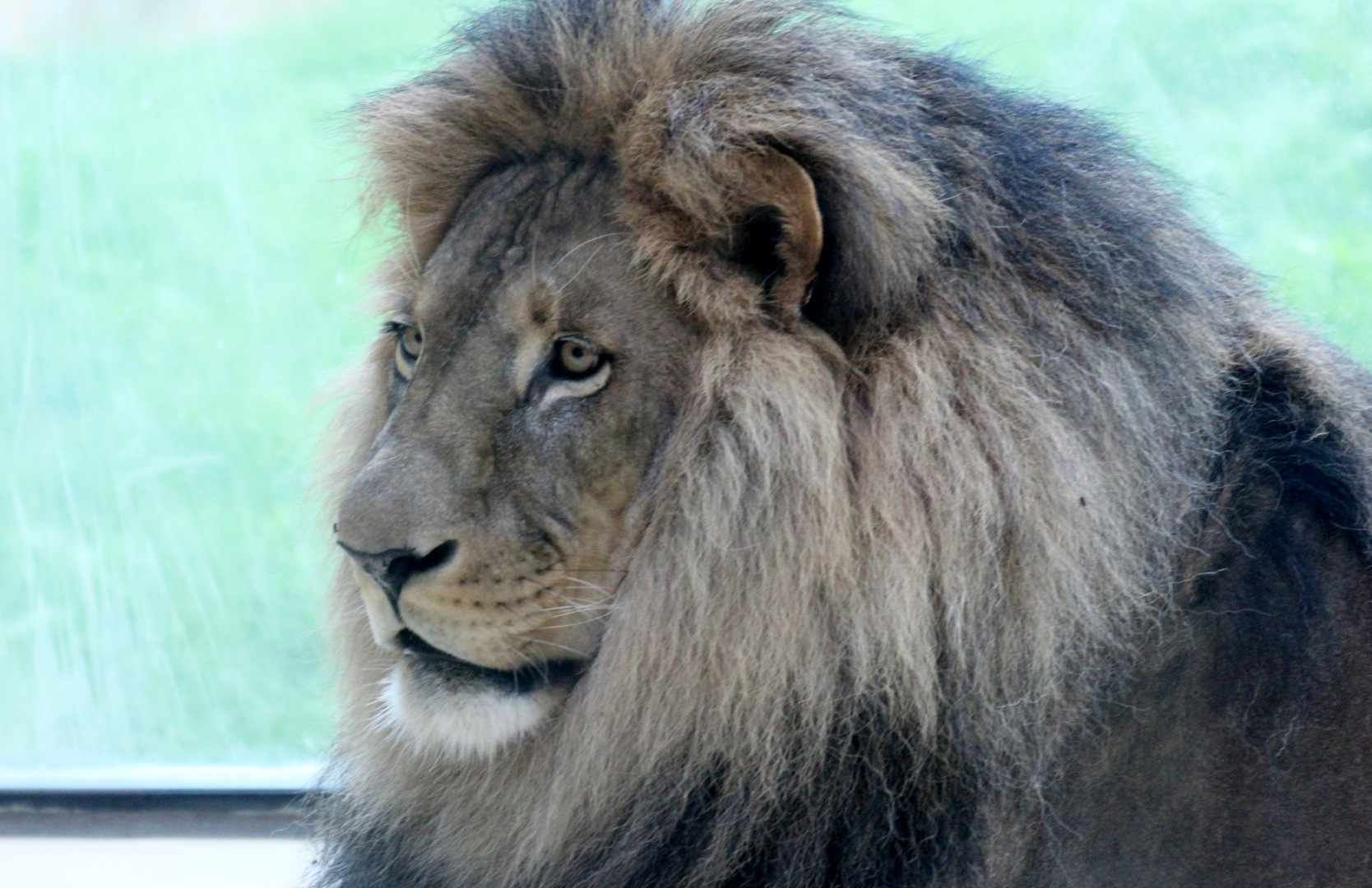 Tiere im Zoo Foto & Bild | zoo, natur Bilder auf fotocommunity
