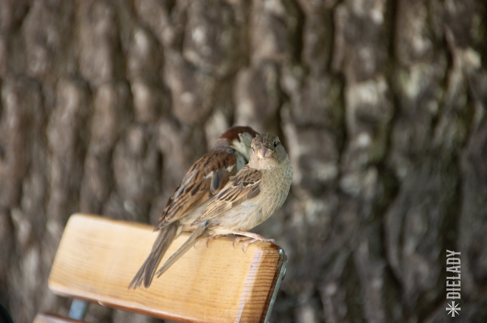 Tiere im Zoo Leipzig 