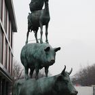 Tiere in der Stadt