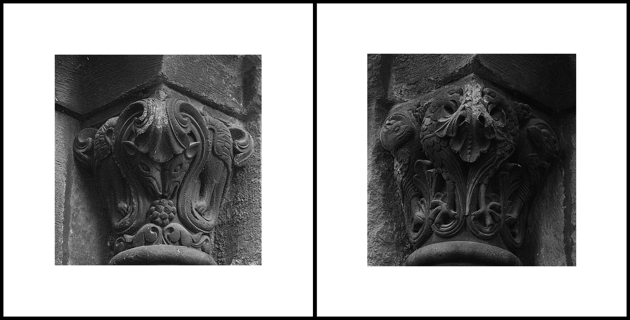 Tiere in romanischem Kapitell der Werler KIrche St. Walburga