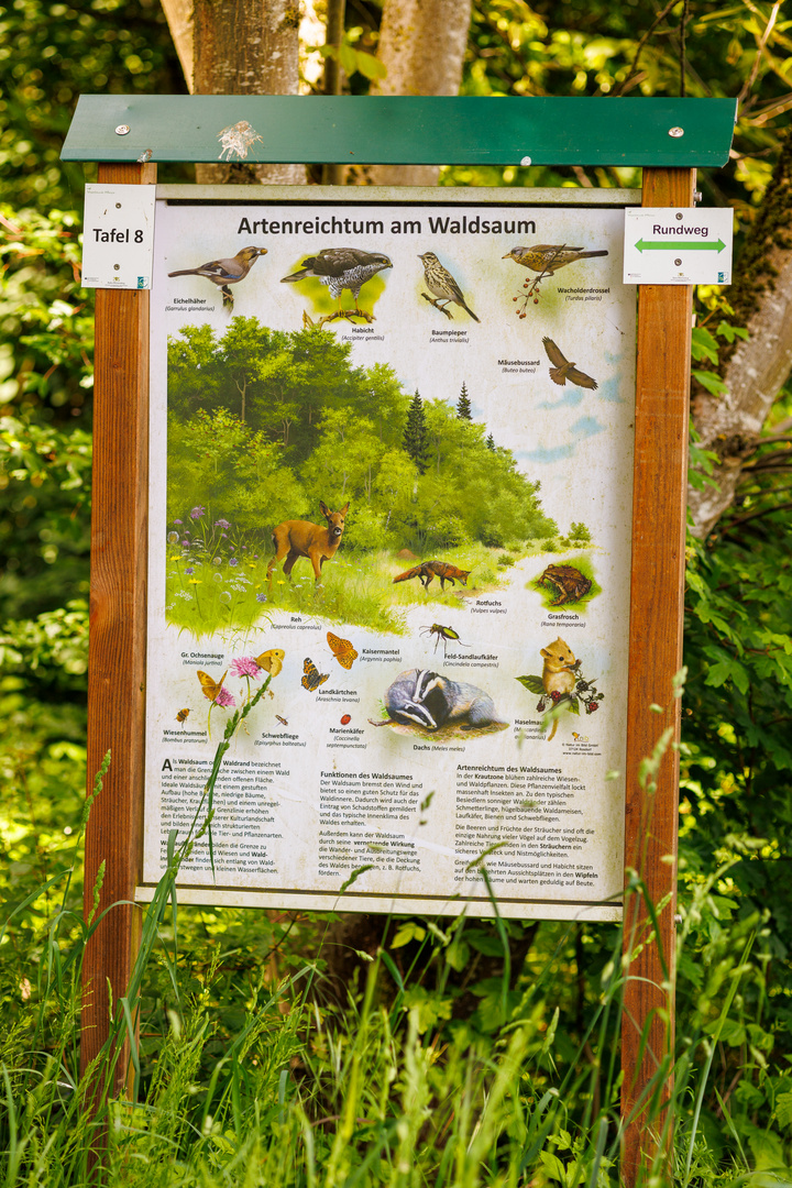 Tiere - Infotafel