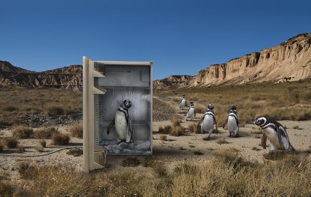 Tiere suchen ein Zuhause