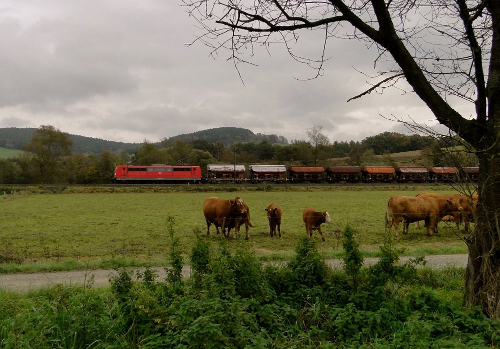 Tiere vor der Kamera - eine Atempause [Nord-Süd-Exkursion 2014]