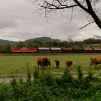 Tiere vor der Kamera - eine Atempause [Nord-Süd-Exkursion 2014]