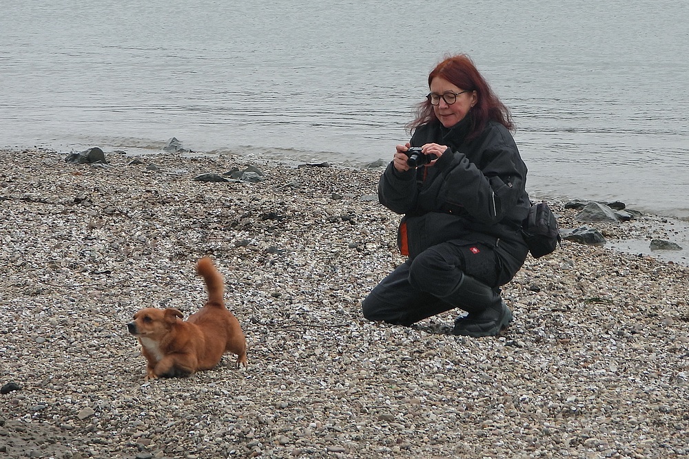 Tierfotografie ist nicht immer ganz einfach …. 01