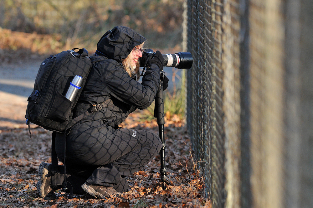 Tierfotografinnen - Gitter