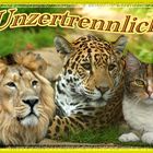 Tierfreundschaft