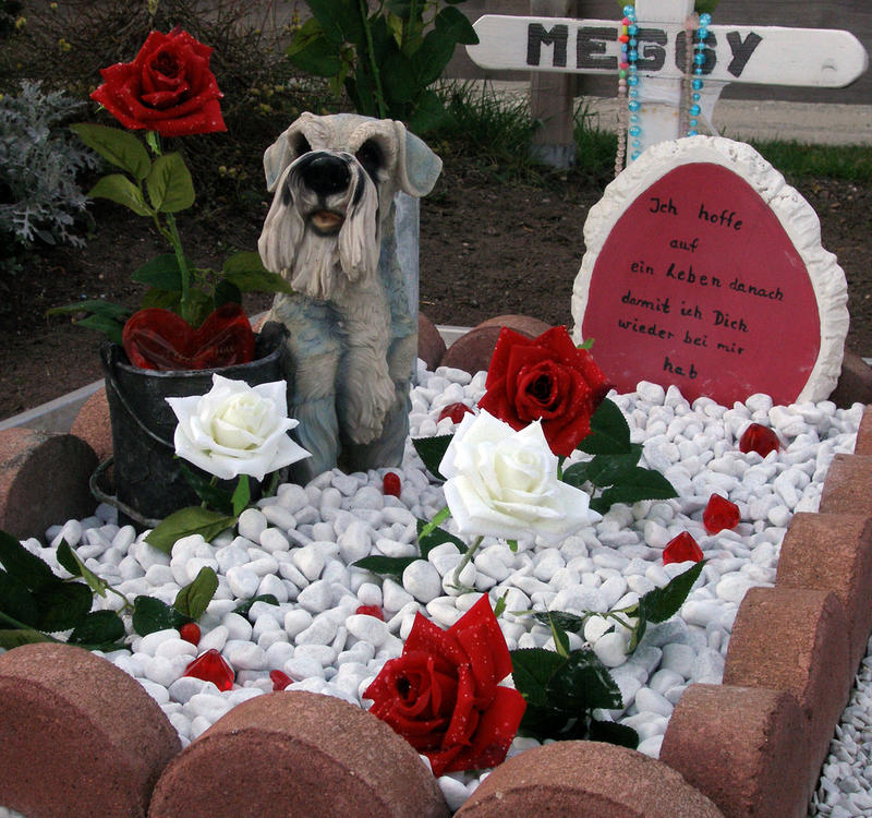 Tierfriedhof 2 - unter Rosen gebettet!!