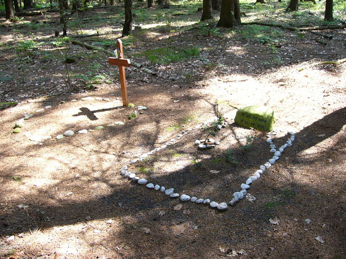 Tierfriedhof im Wald